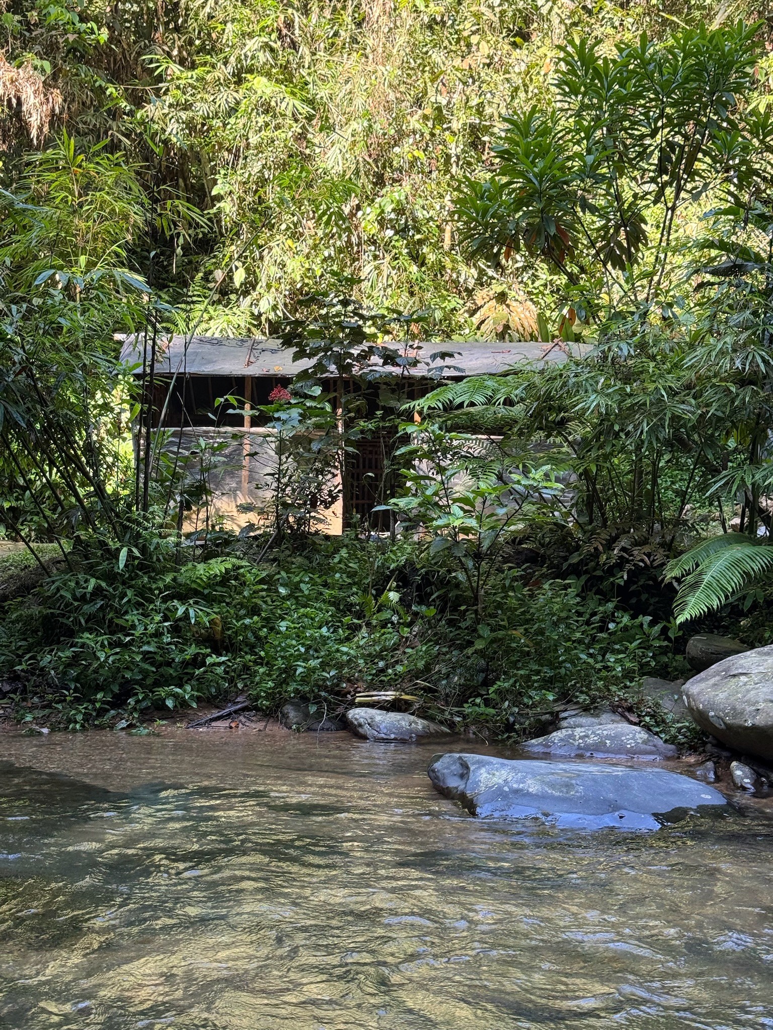 Overnachten in de Jungle