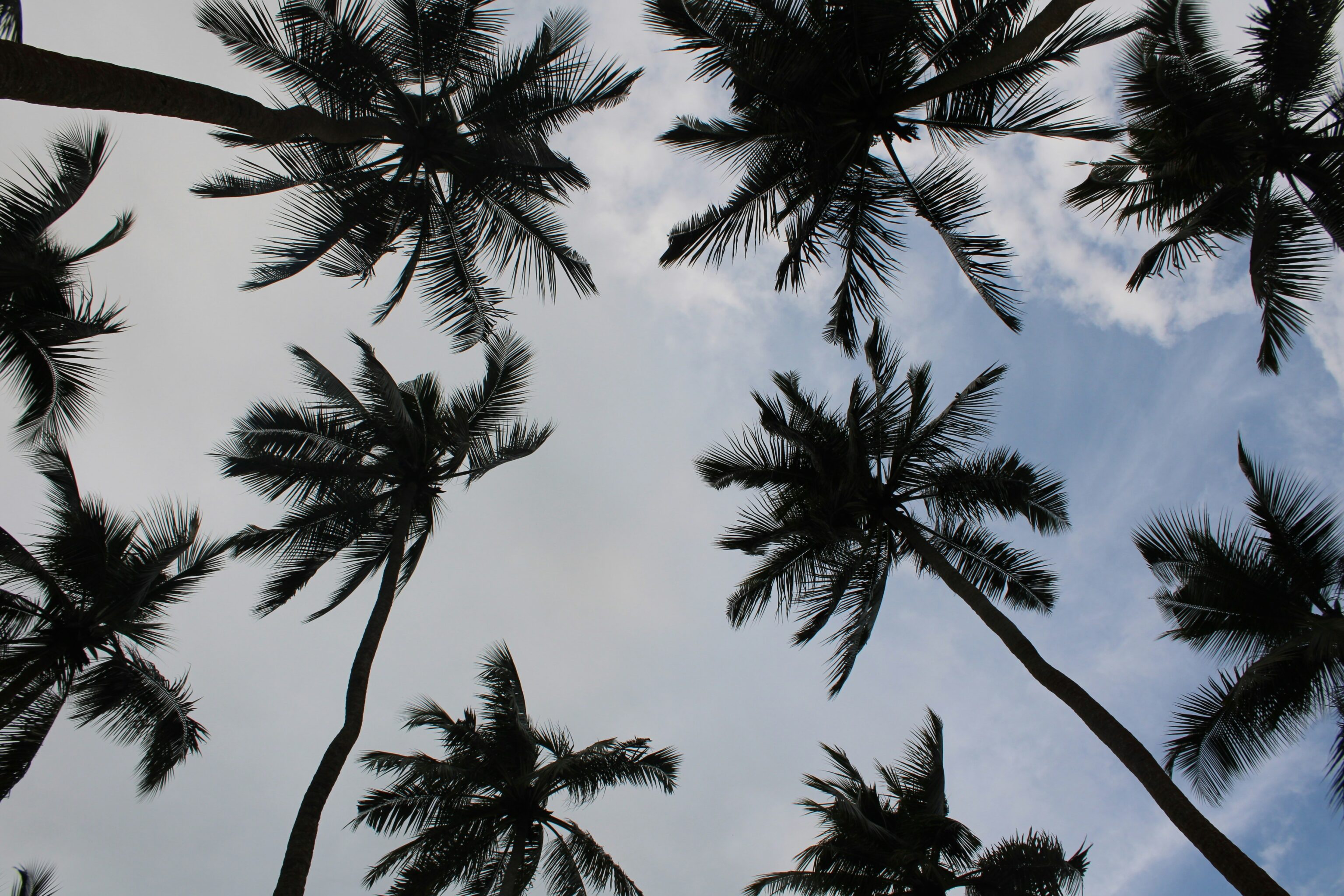 Sri Lanka