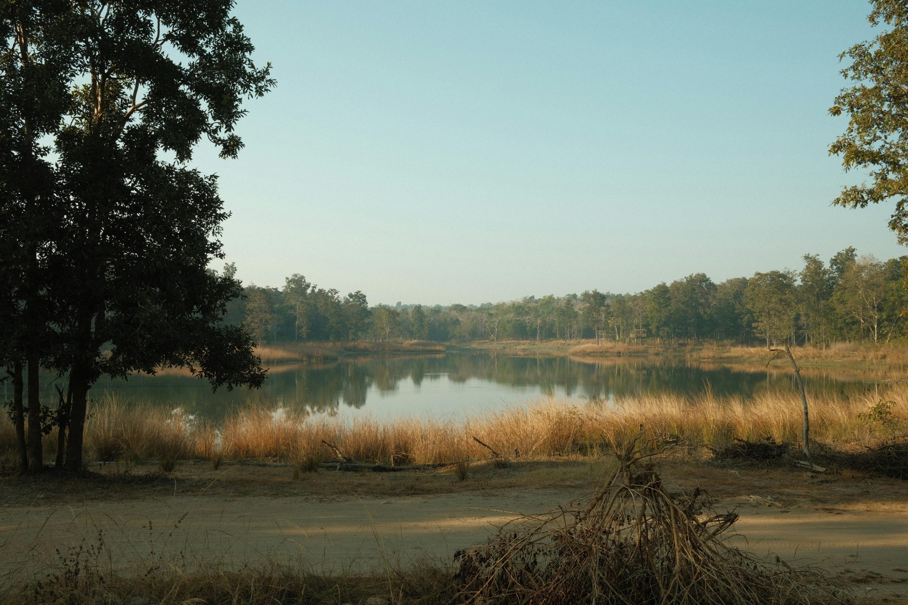 Bandhavgarh National Park