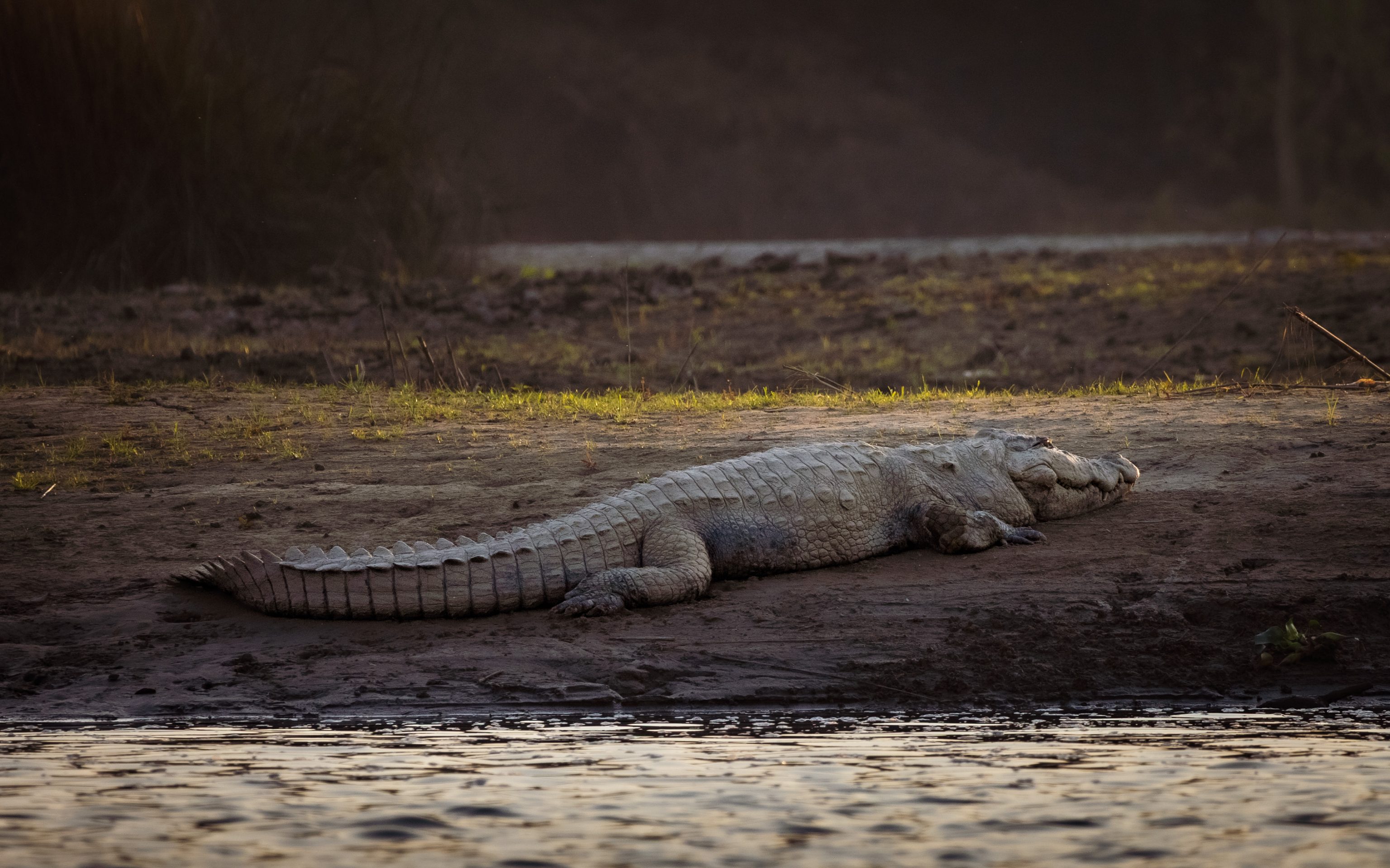 Chitwan National Park, Nepal