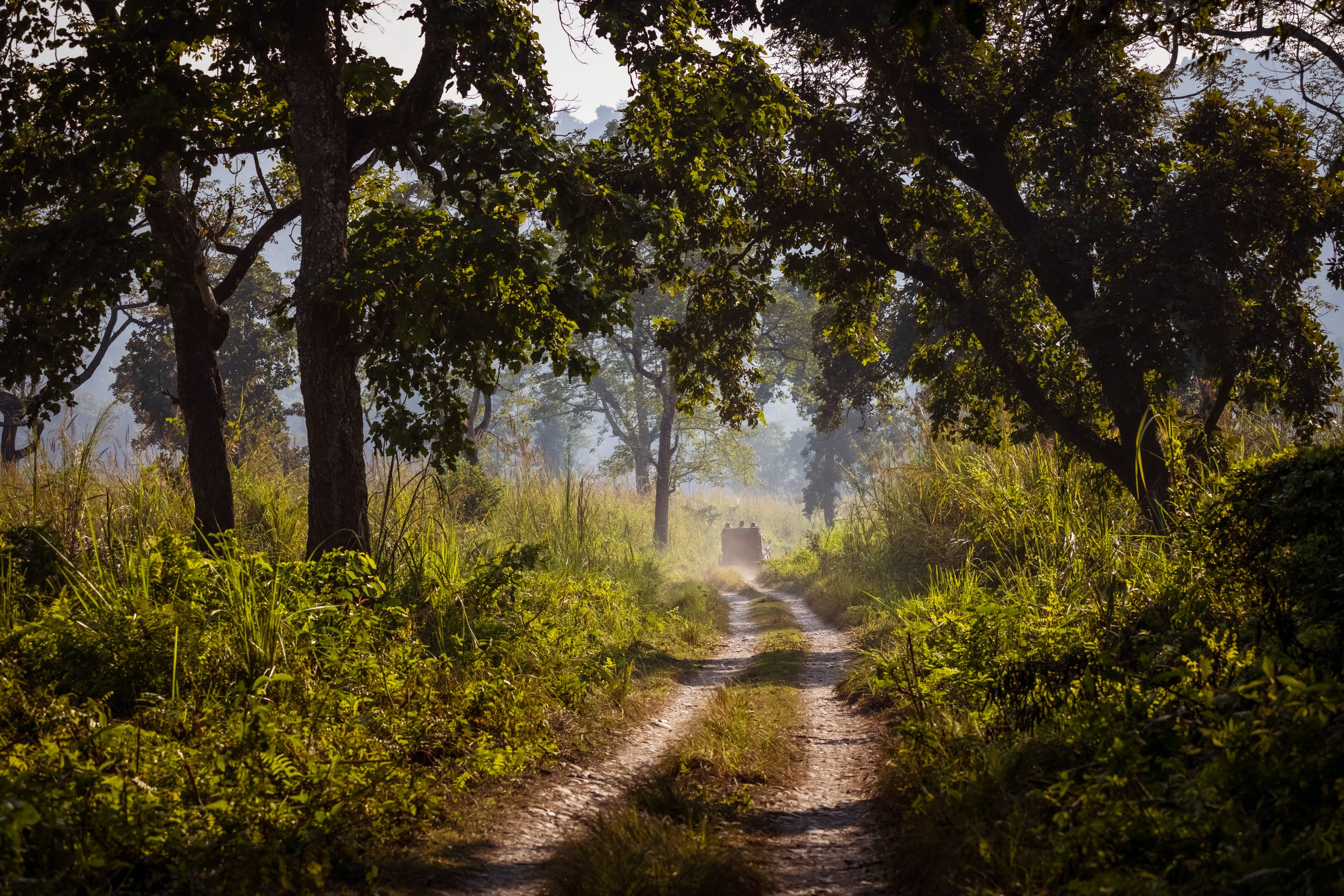 Chitwan National Park, Nepal