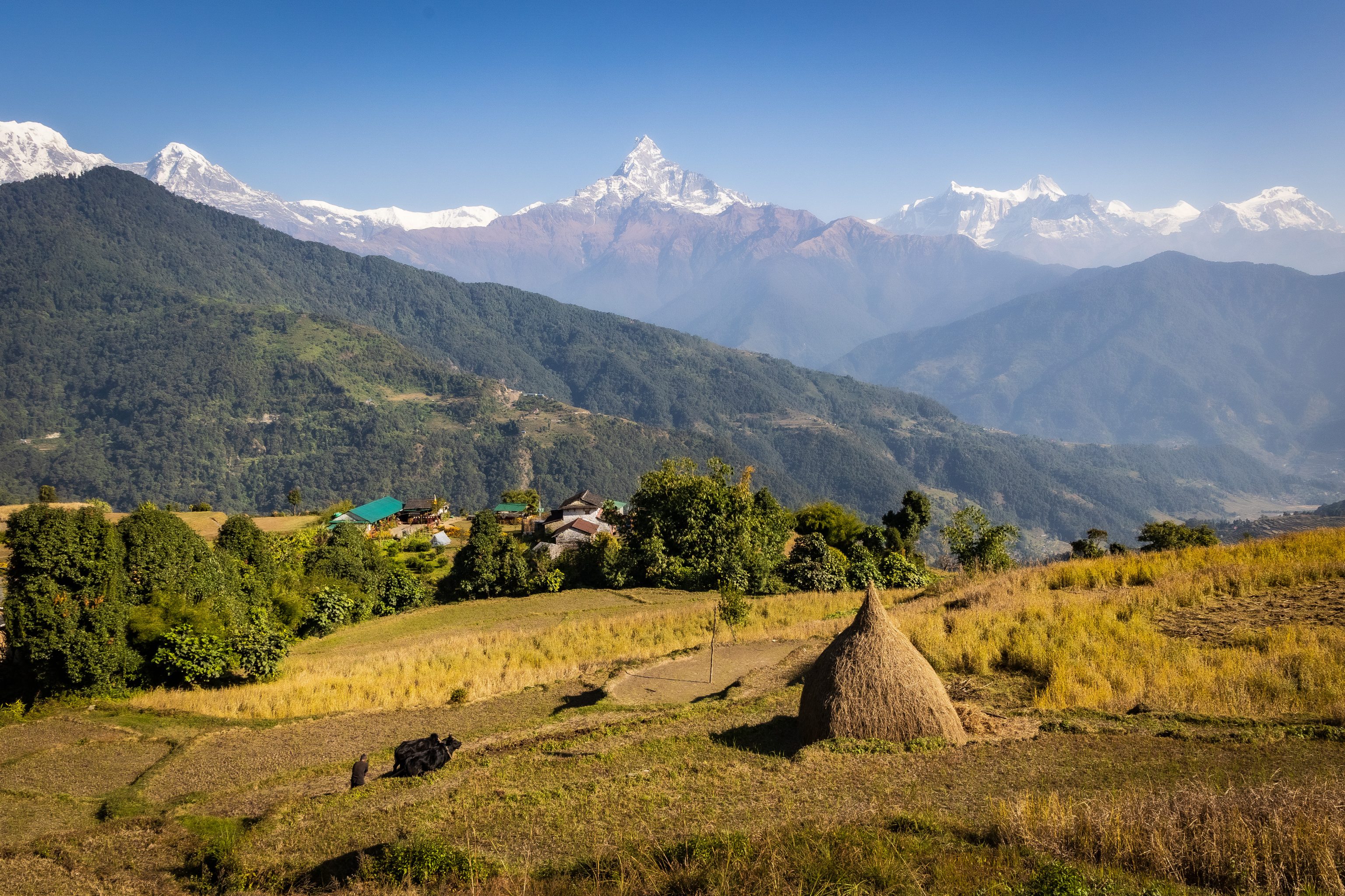 Dhampus, Nepal