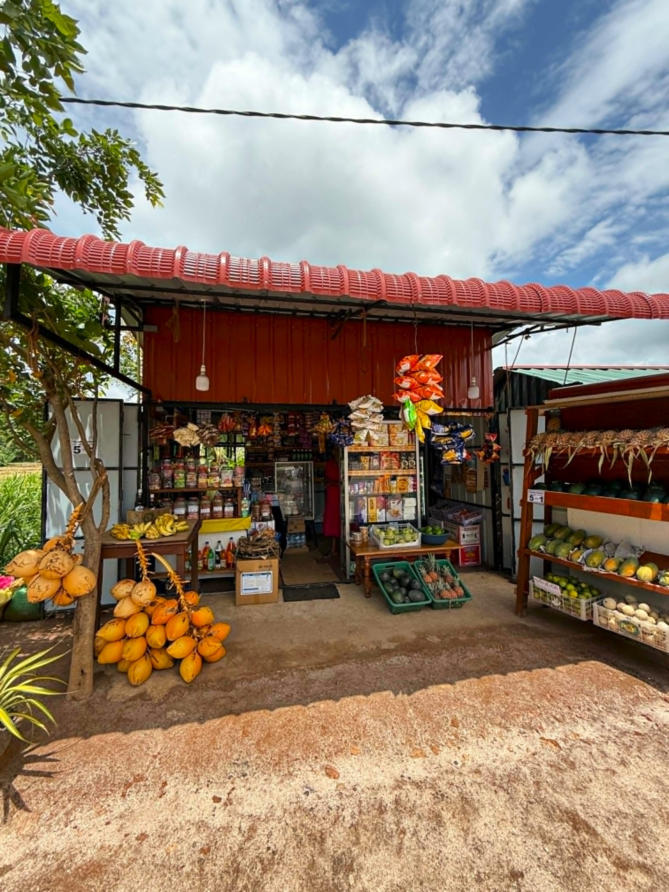Onderweg naar Kandy