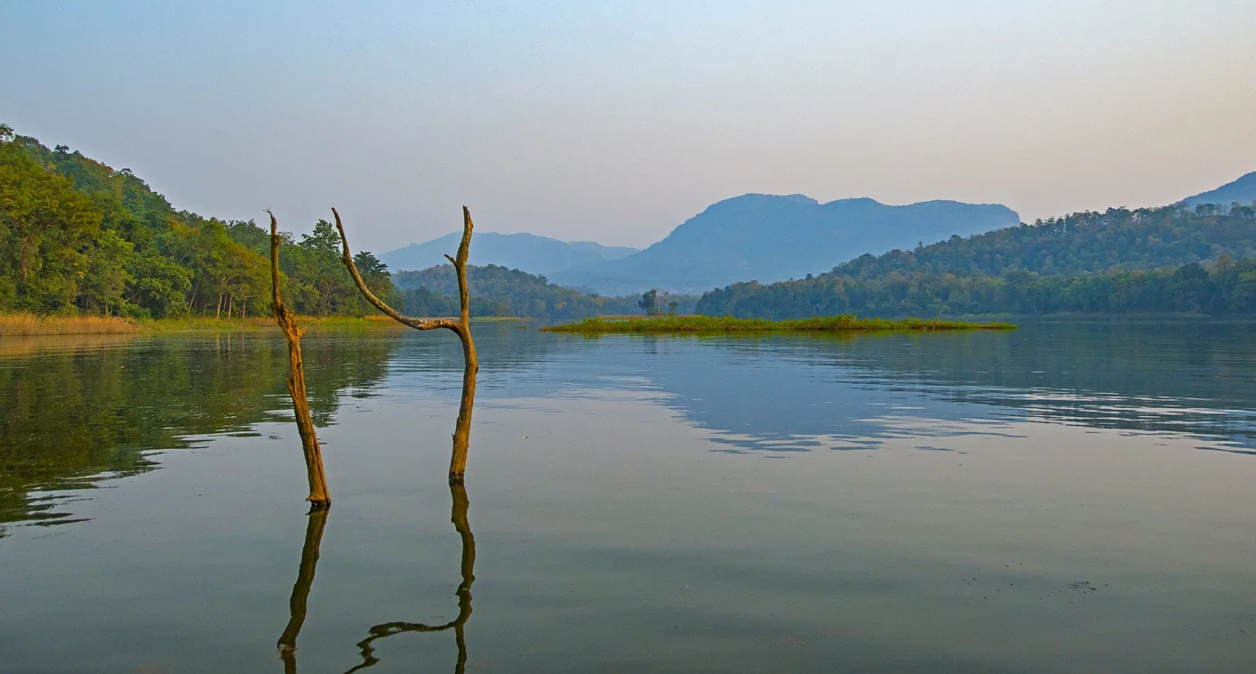 Vogel in Satpura National Park