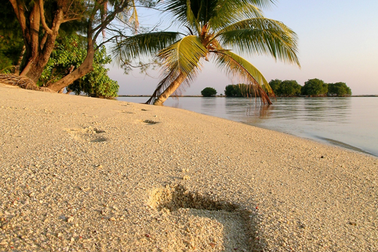 Kura Kura Resort Menyawakan Island, Karimunjawa-archipel