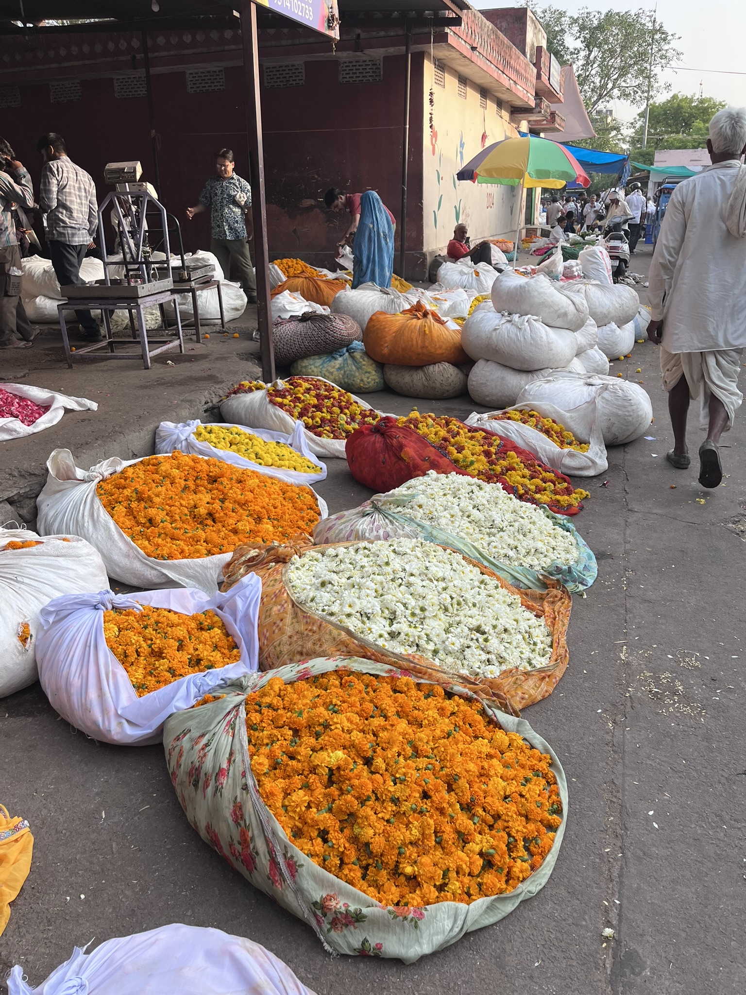 Fietstocht Jaipur