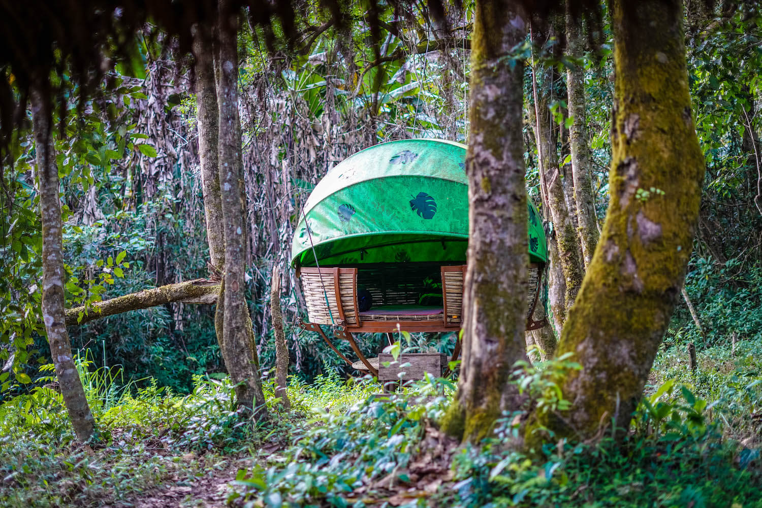 Nam Et-Phou Louey National Park