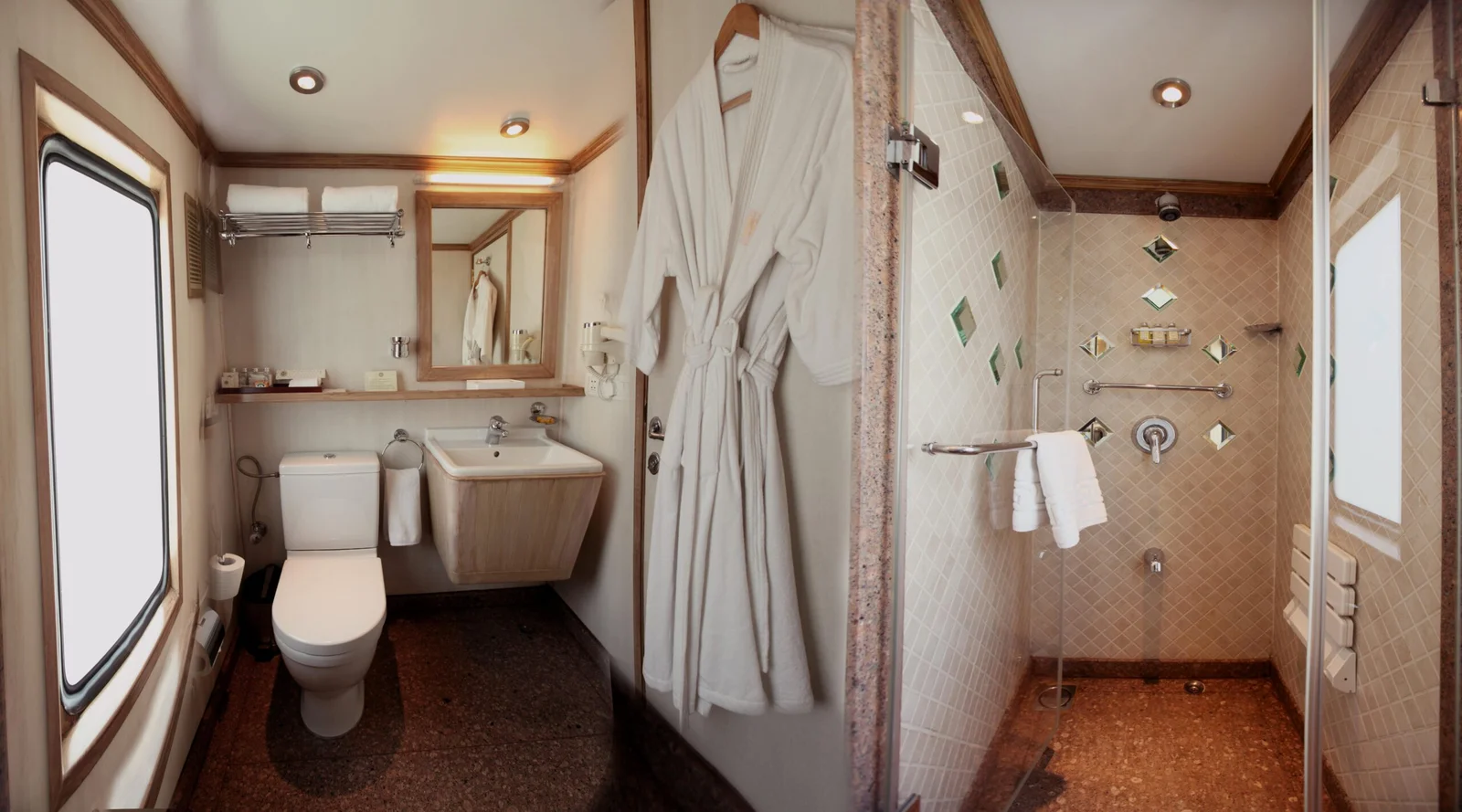 maharaja express bathroom