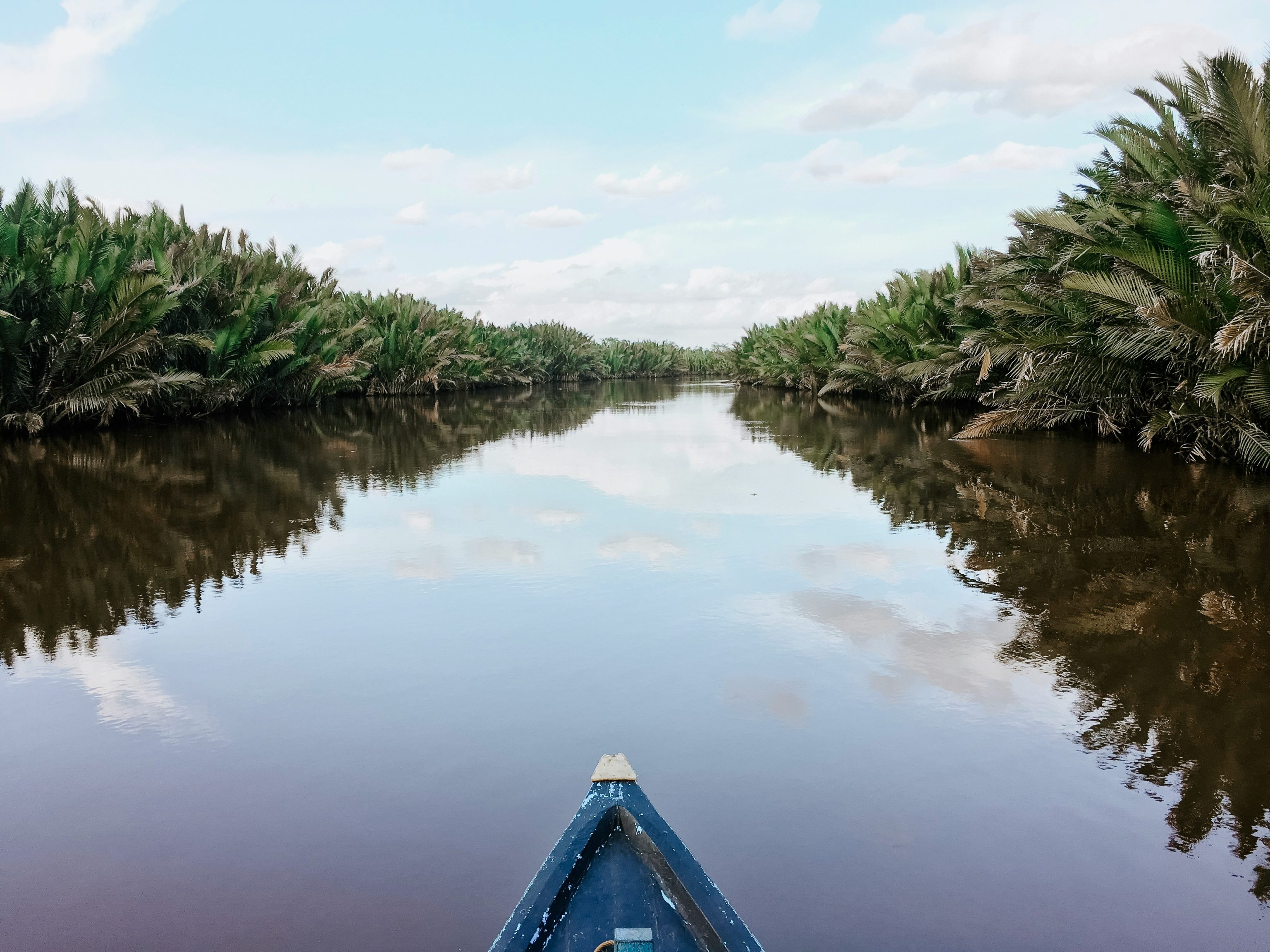 Klotok, Tanjung Puting, Kalimantan