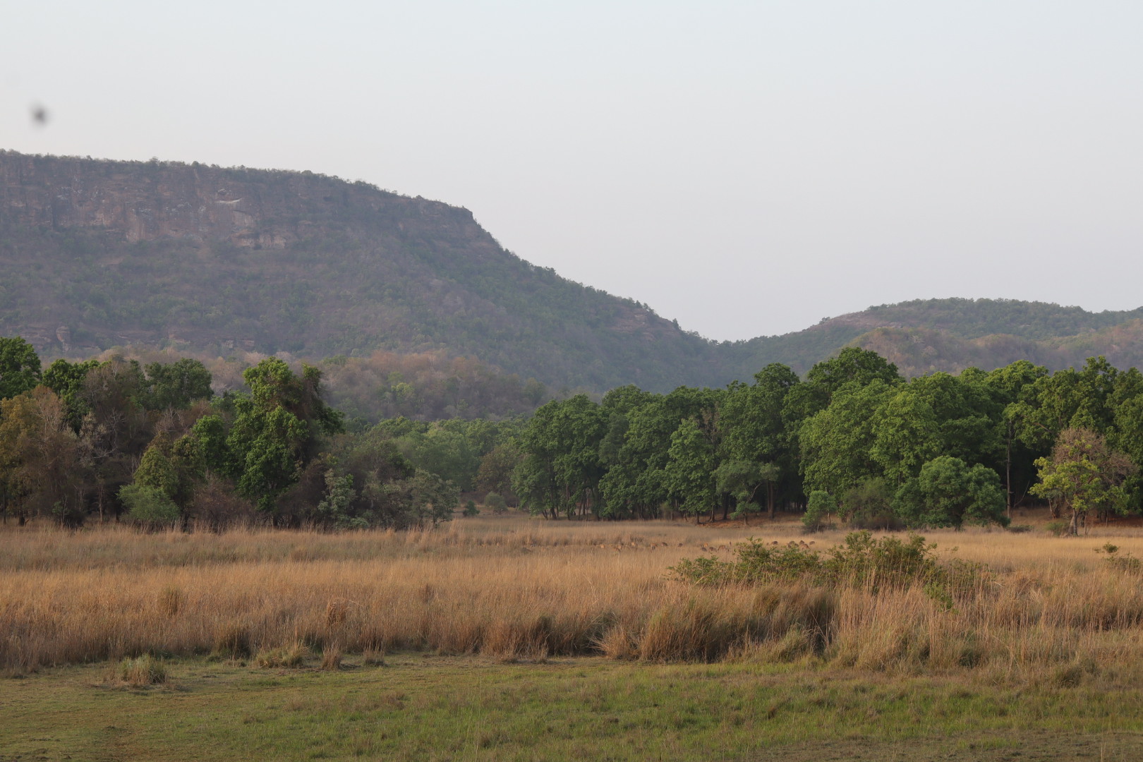 Bandhavgarh uitzicht