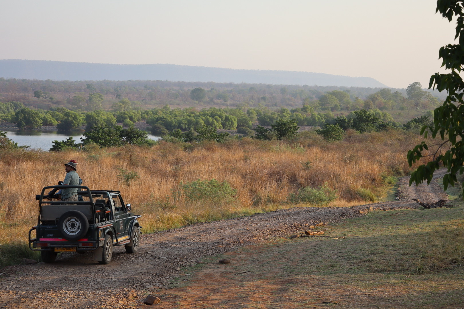 Panna National Park