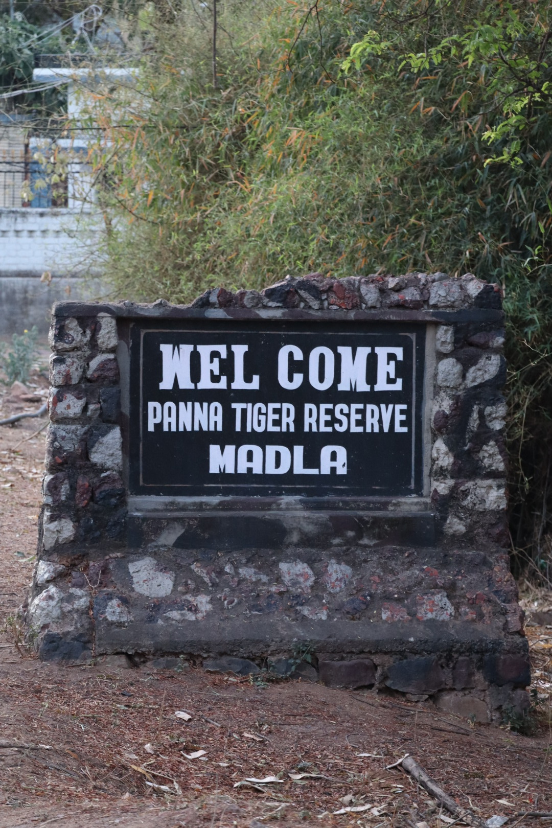 Panna Tiger Reserve, Madla Gate
