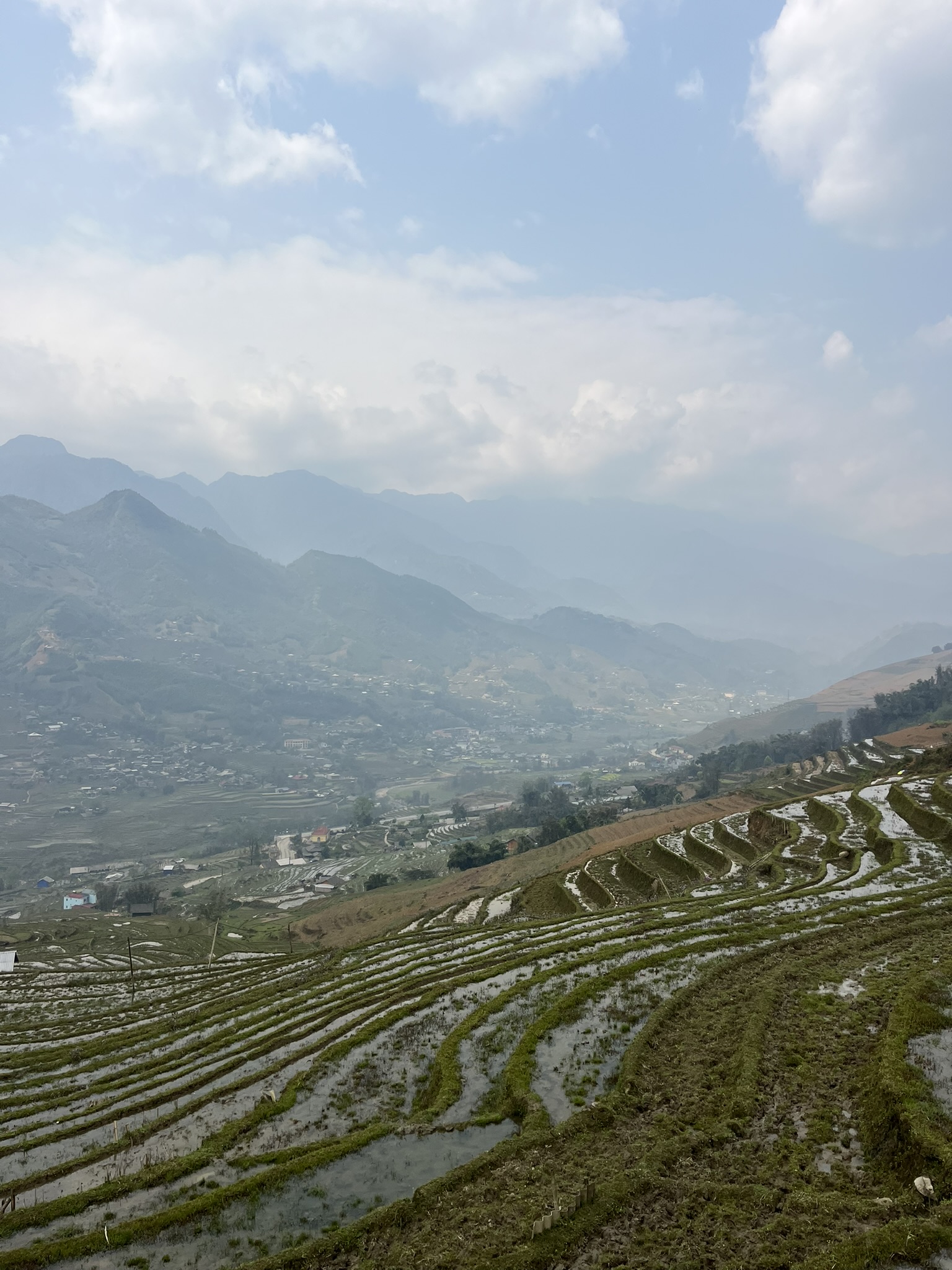 Sapa