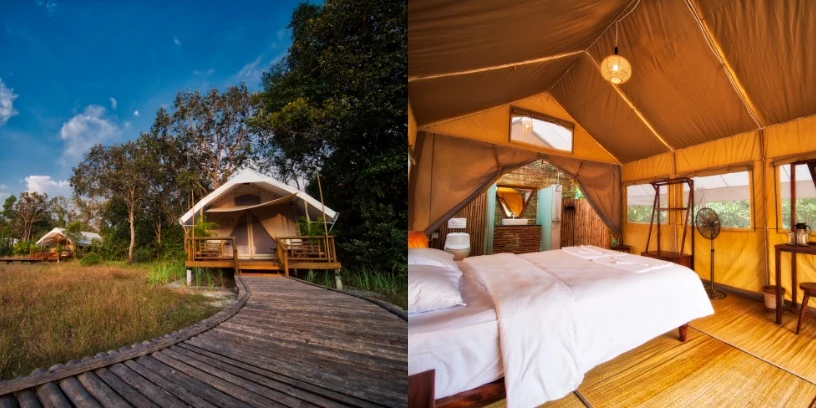 Cardamom Tented Camp